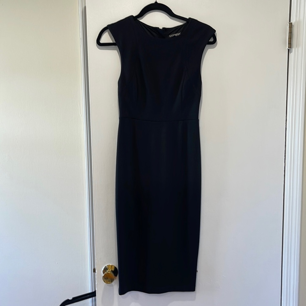 Express Knee Length dress.